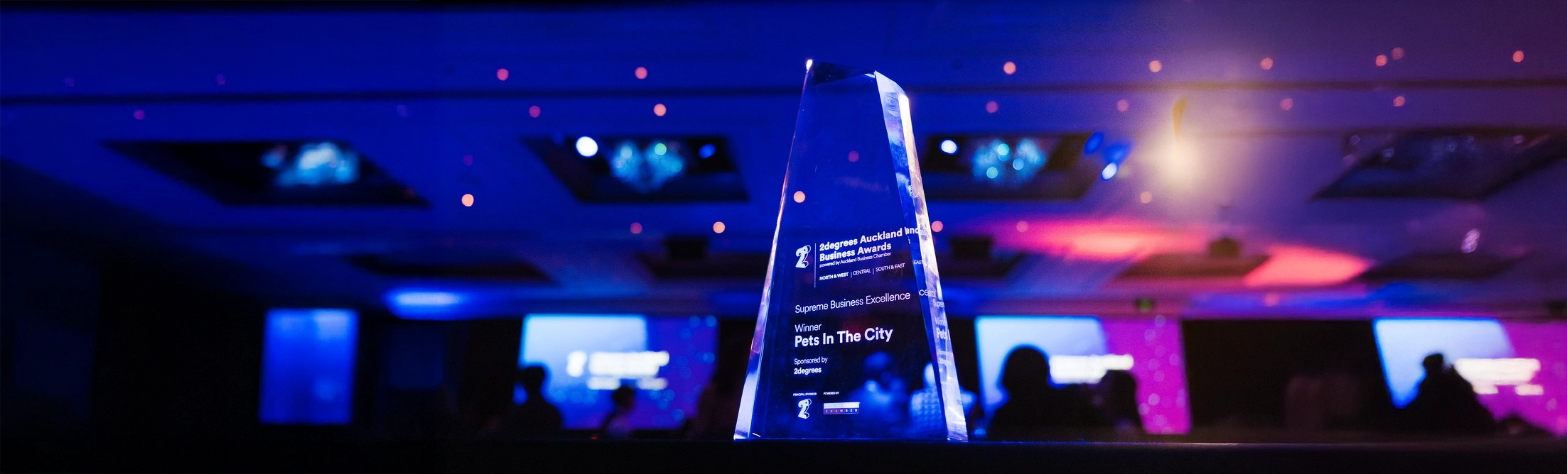Pets In The City Supreme Business Excellence trophy at the 2degrees Auckland Business Awards