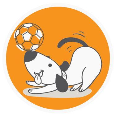 Dog Daycare in Auckland Pets in the City