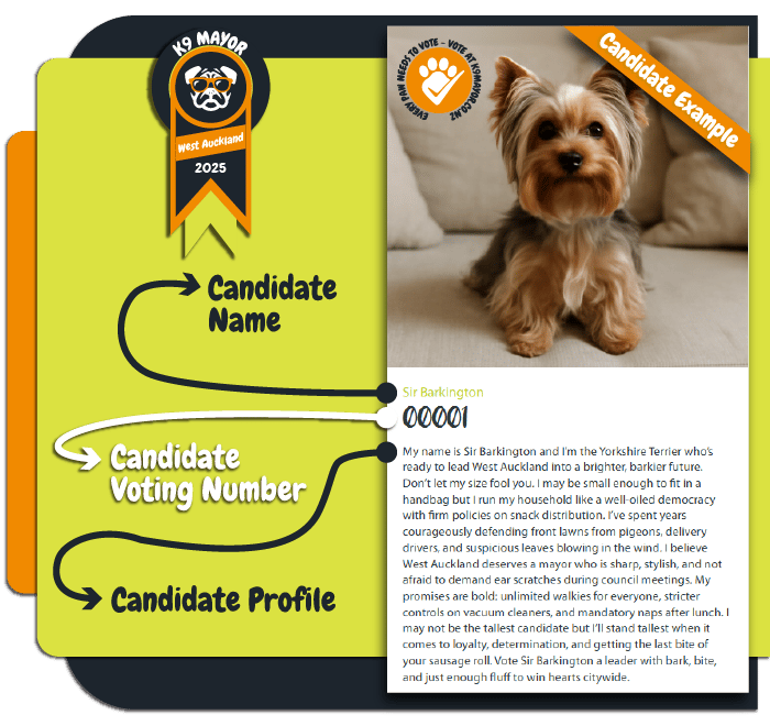 How to Vote Explained-01