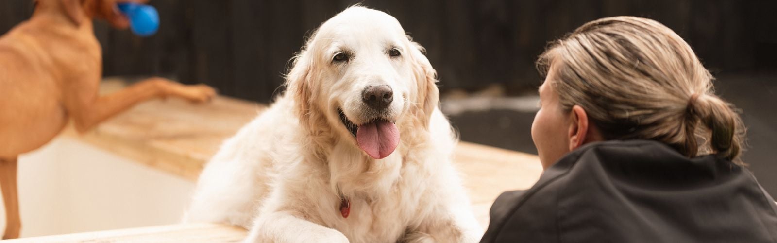 Laura and Retriever-2