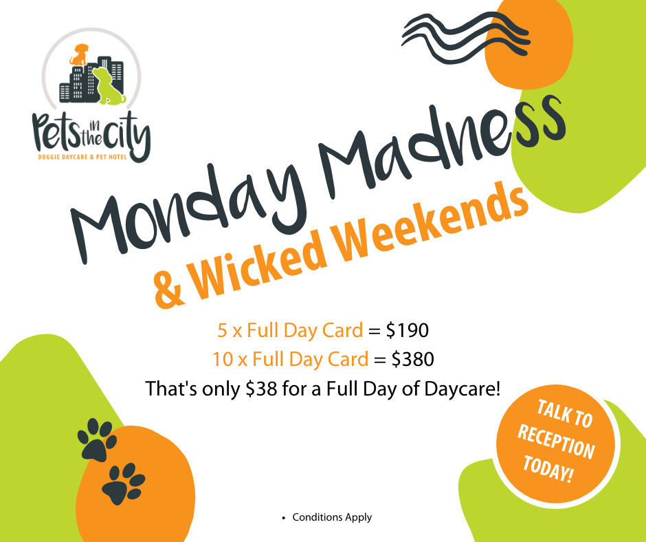 Monday Madness & Wicked Weekends