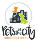 Pets-in-the-City-Primary-Logo-Stacked-RGB
