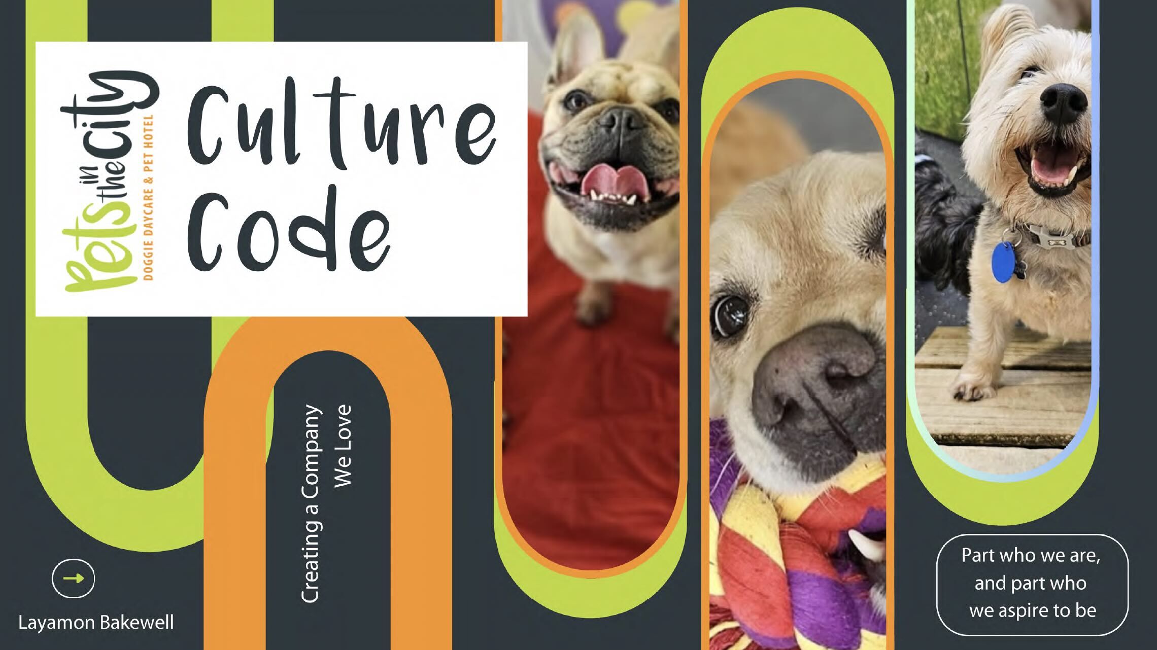 Culture Code Cover