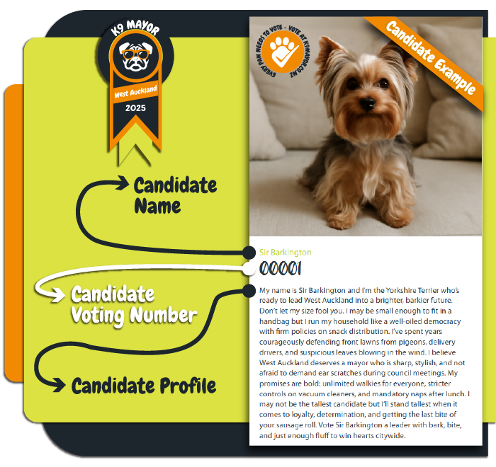How to Vote Explained-01