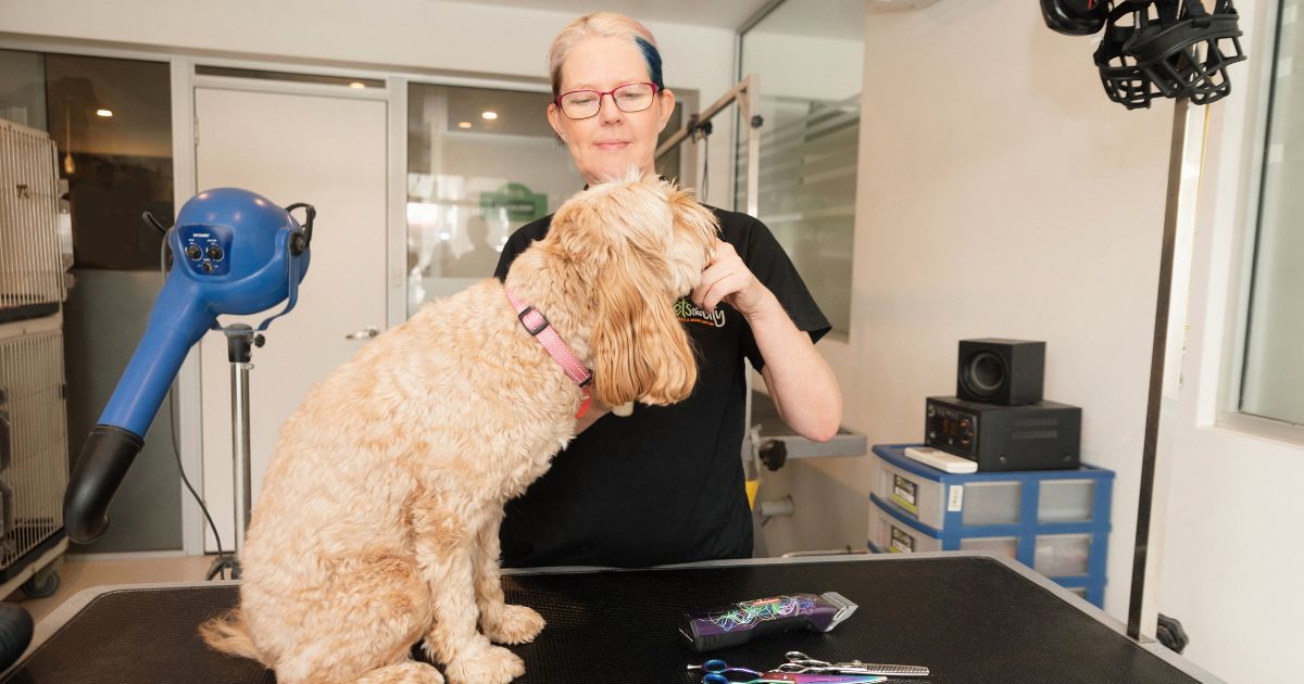 Why Get your Dog Groomed Regularly?