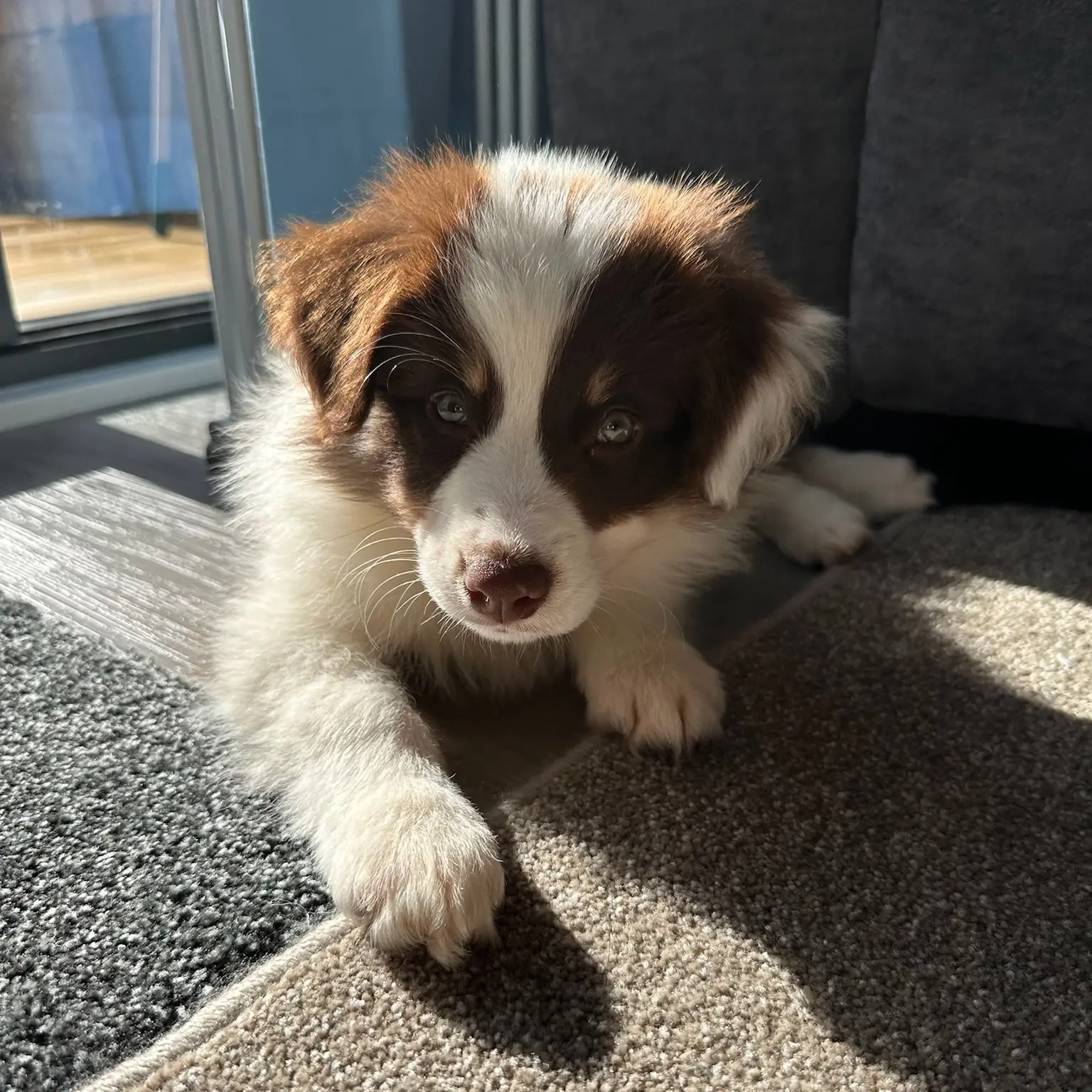 Leela