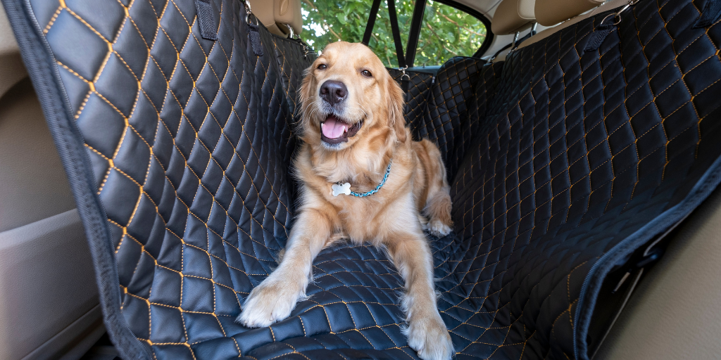 Hit the Road with Your Pawsome Pal: Travel Tips for the Festive Season!