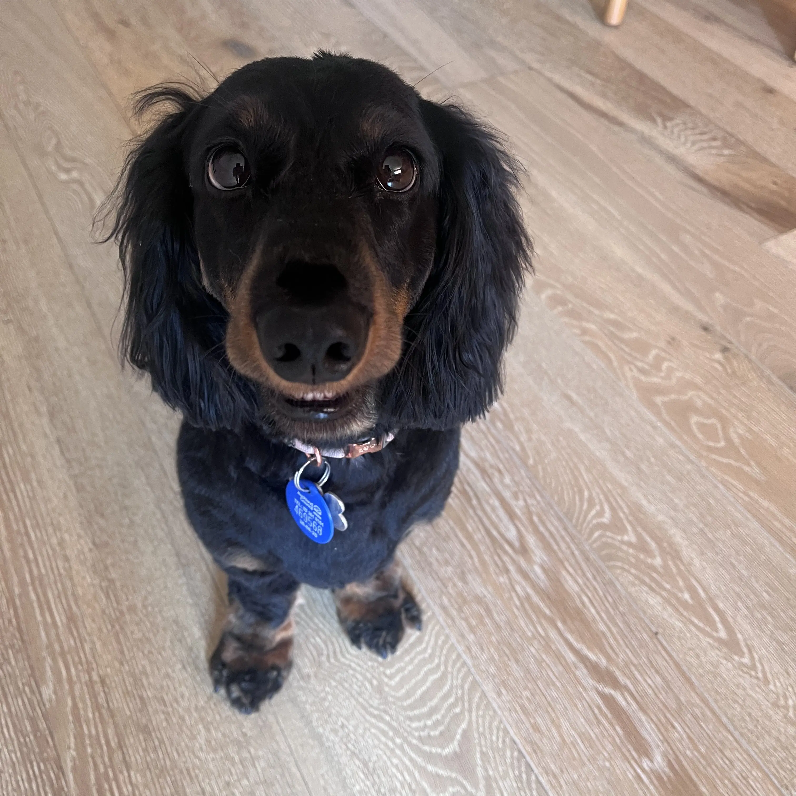 Winnie