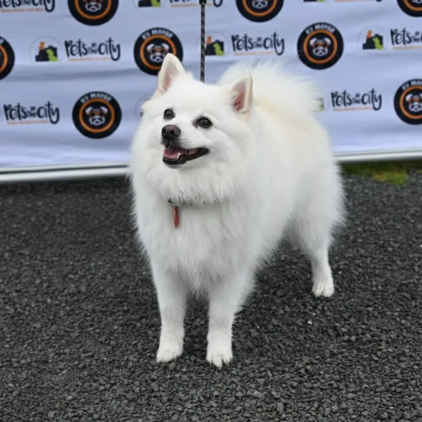 Frankie