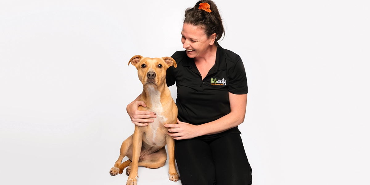 Canine Massage & Wellness